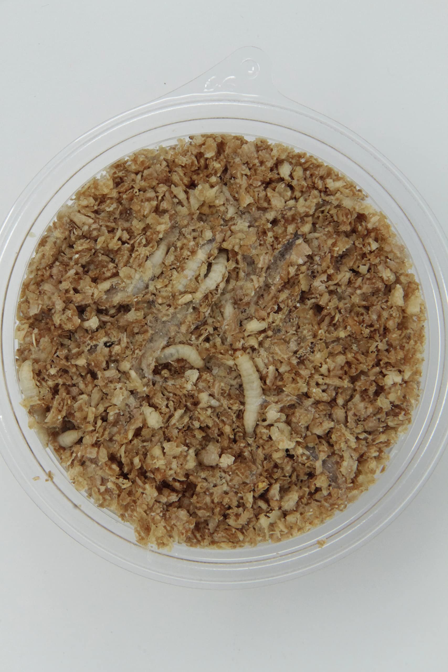 Amazon | 邑楽ファーム ハニーワーム 約100匹(SMサイズ 約1~2.5